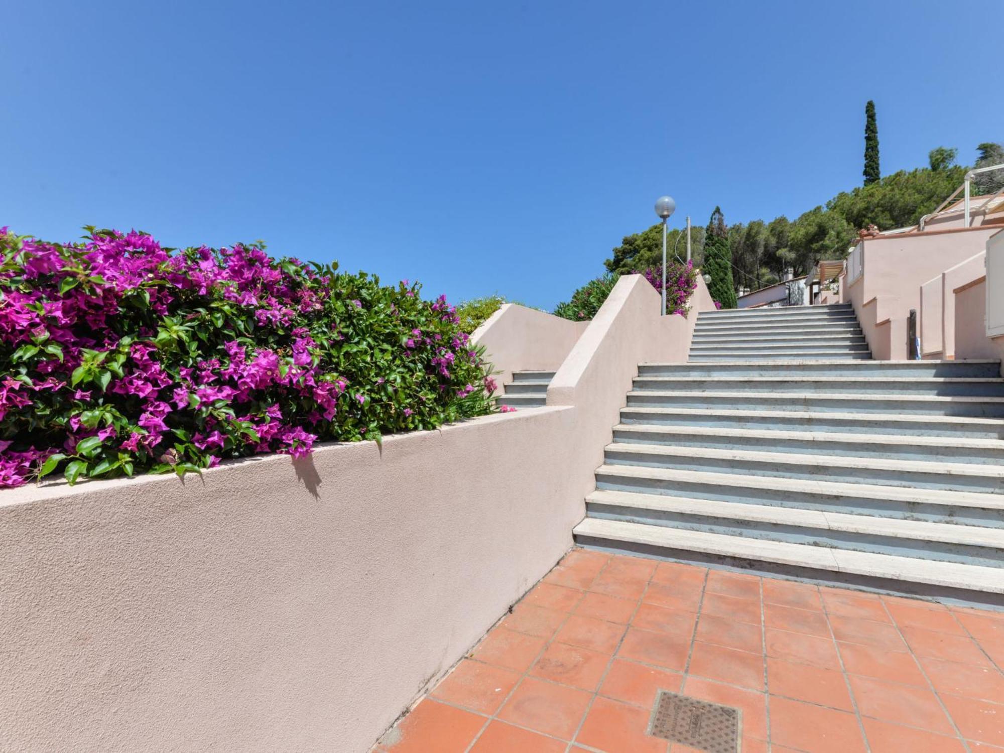 Apartment Cala Rossa-1 By Interhome Nisporto エクステリア 写真